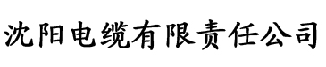 bing电缆厂logo